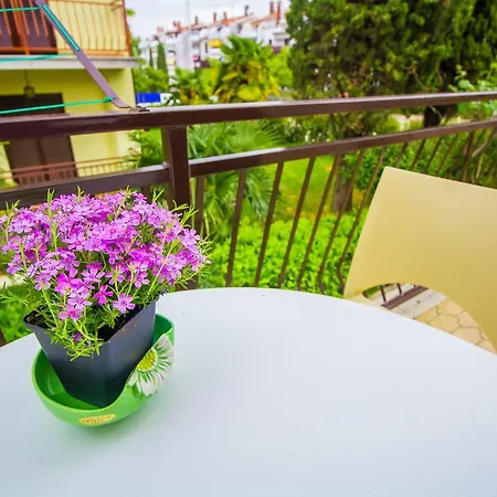 Daire Pineta House Vidos