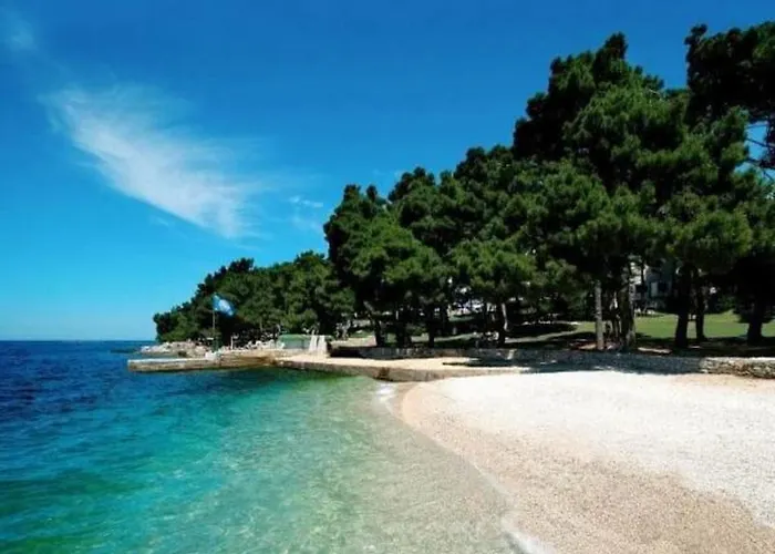 Pineta House Vidos